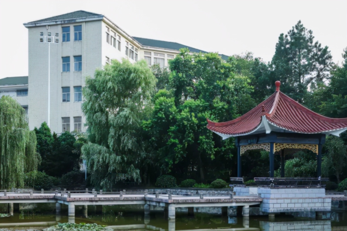 空欢喜？合肥学院更名“大学”，材料还未上交，网友：如何淡定？