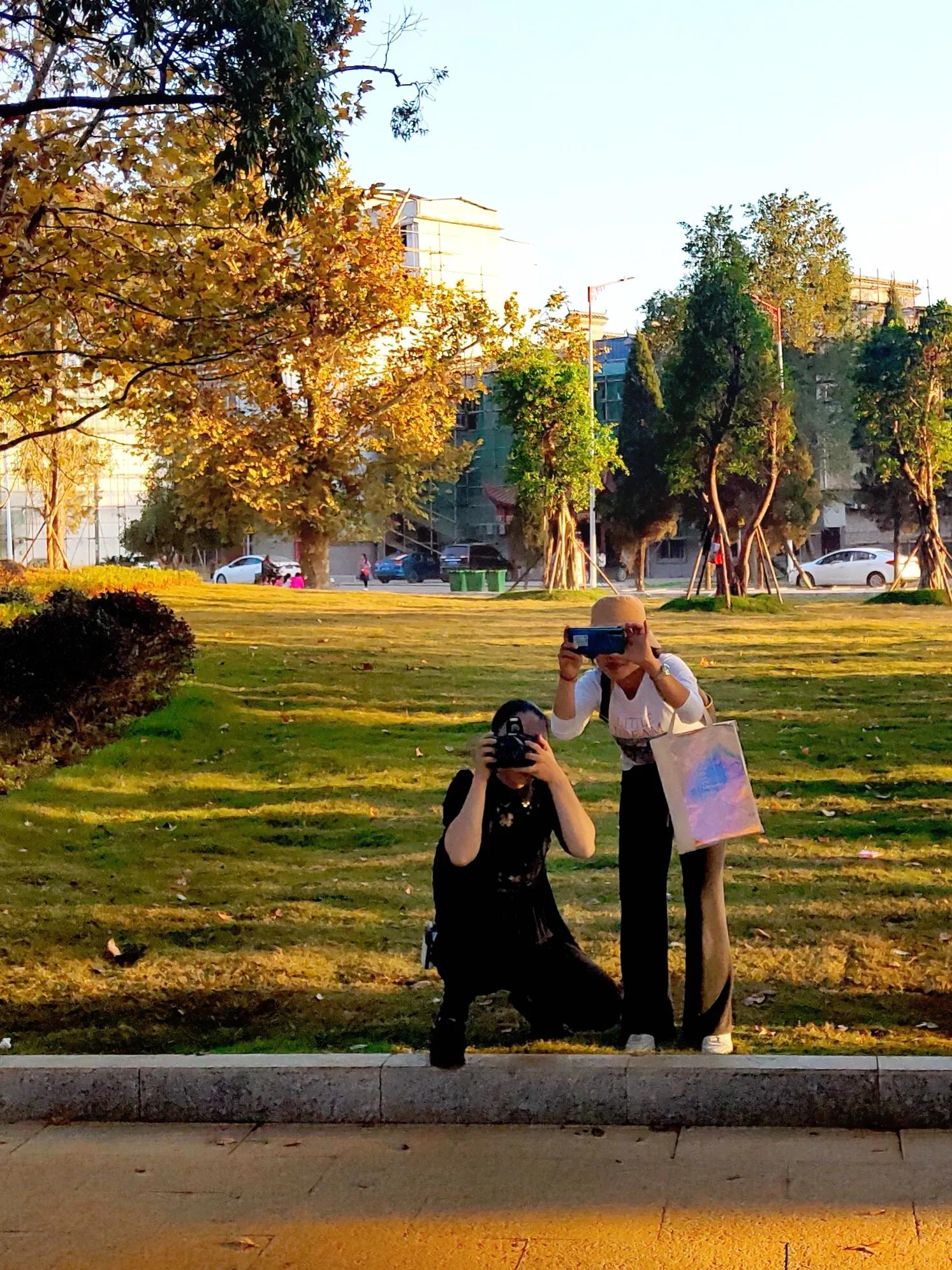 手拍世界（手机摄影平台）-群员作品集（总第733期）