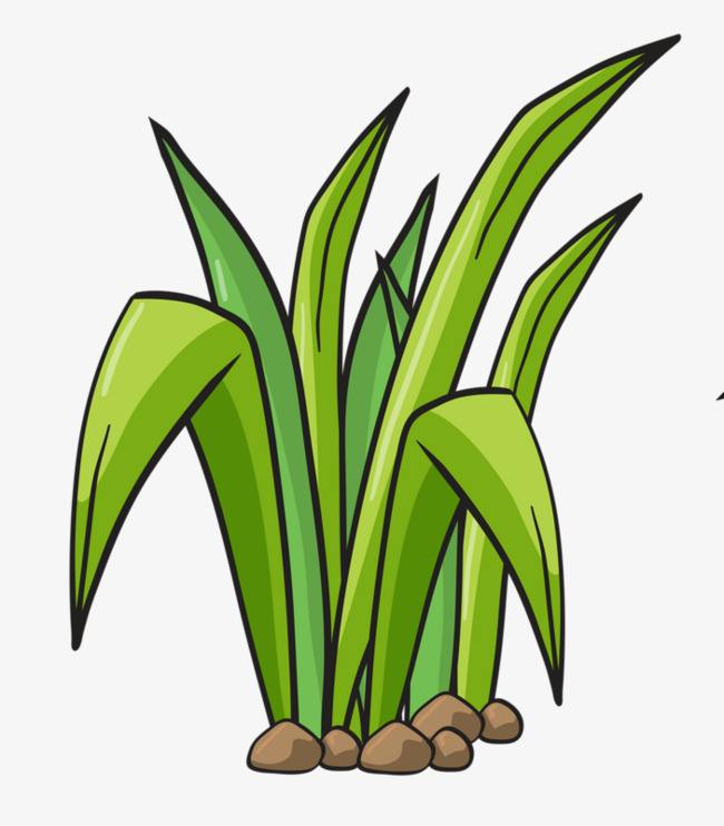 2019上海春季高考作文参考范文 “小草的梦想” 新鲜出炉