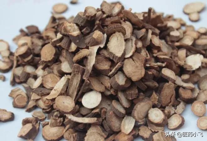 每日医药——赤芍