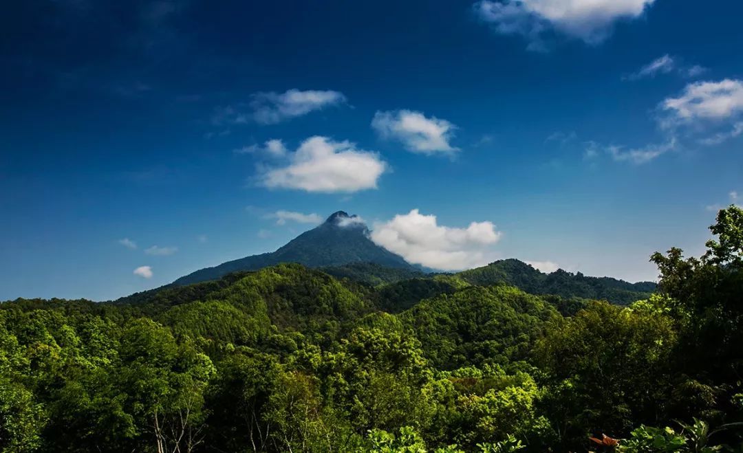 谁说海南只能冬天避寒?这几个地方舒适凉爽,也是夏天避暑天堂