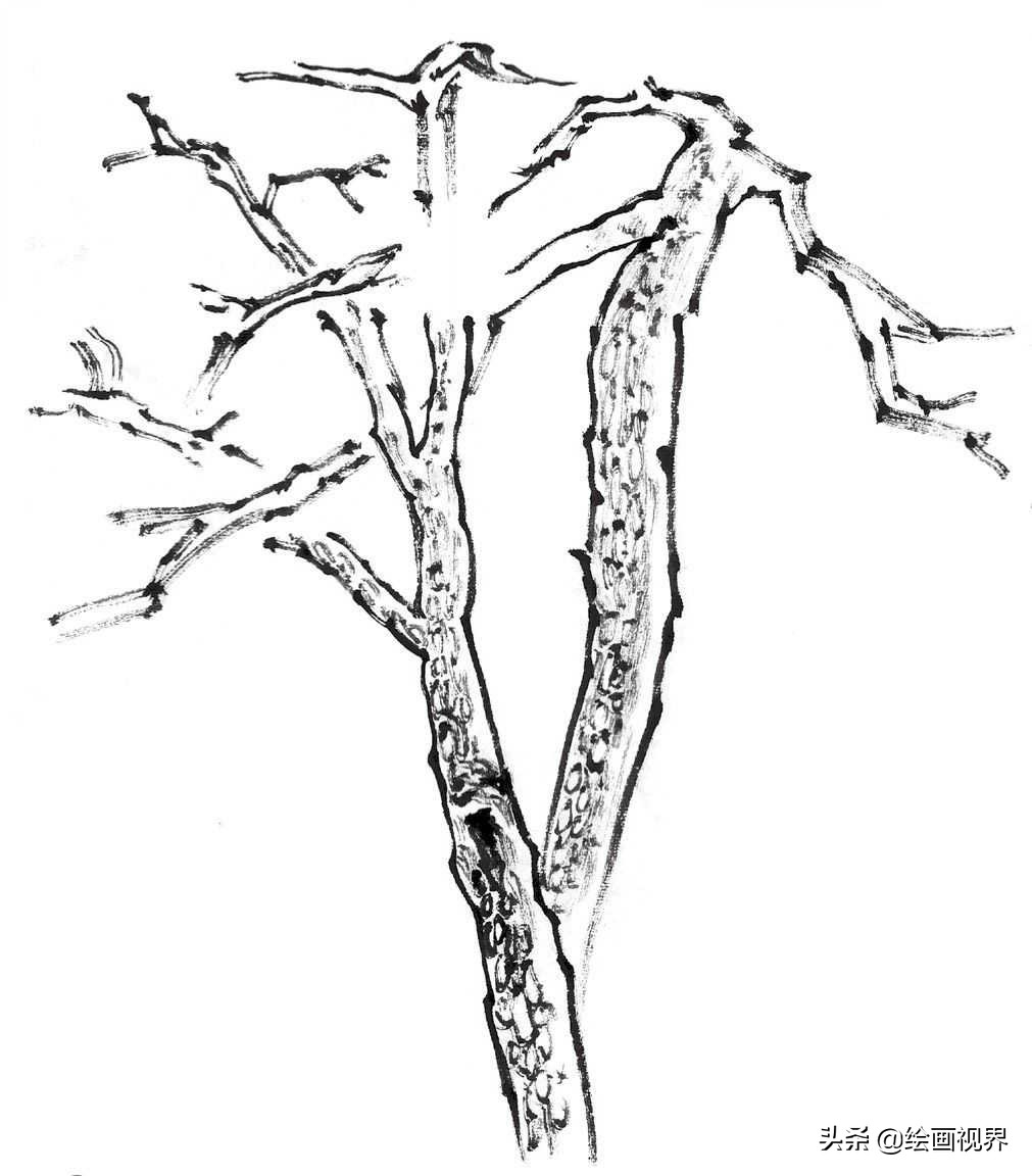 画国画树不会画？教你常见树的画法，简单易学，收藏起来临摹学习