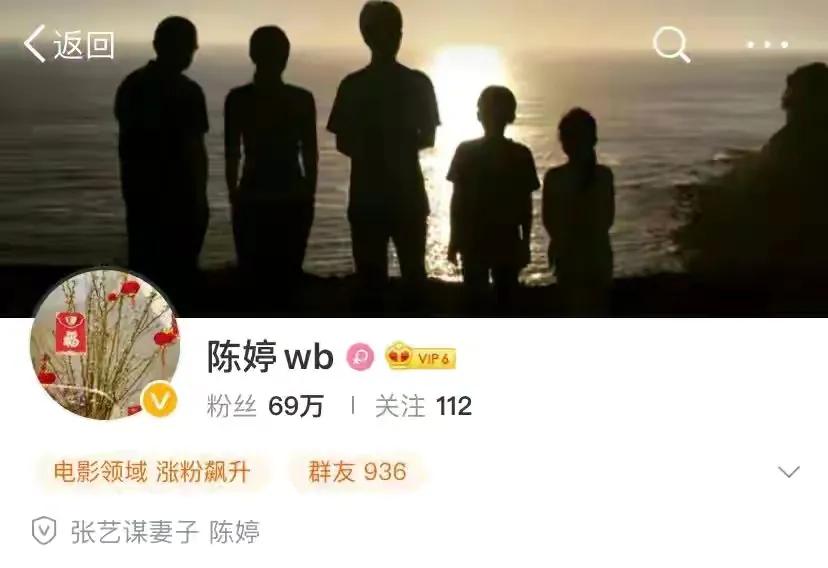 “人生赢家”陈婷的隐秘往事，远比你想得还要精彩