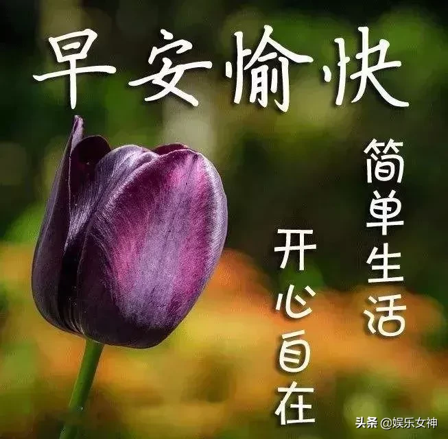 日子，在忙忙碌碌中充实；生活，在粗茶淡饭中生香，早安