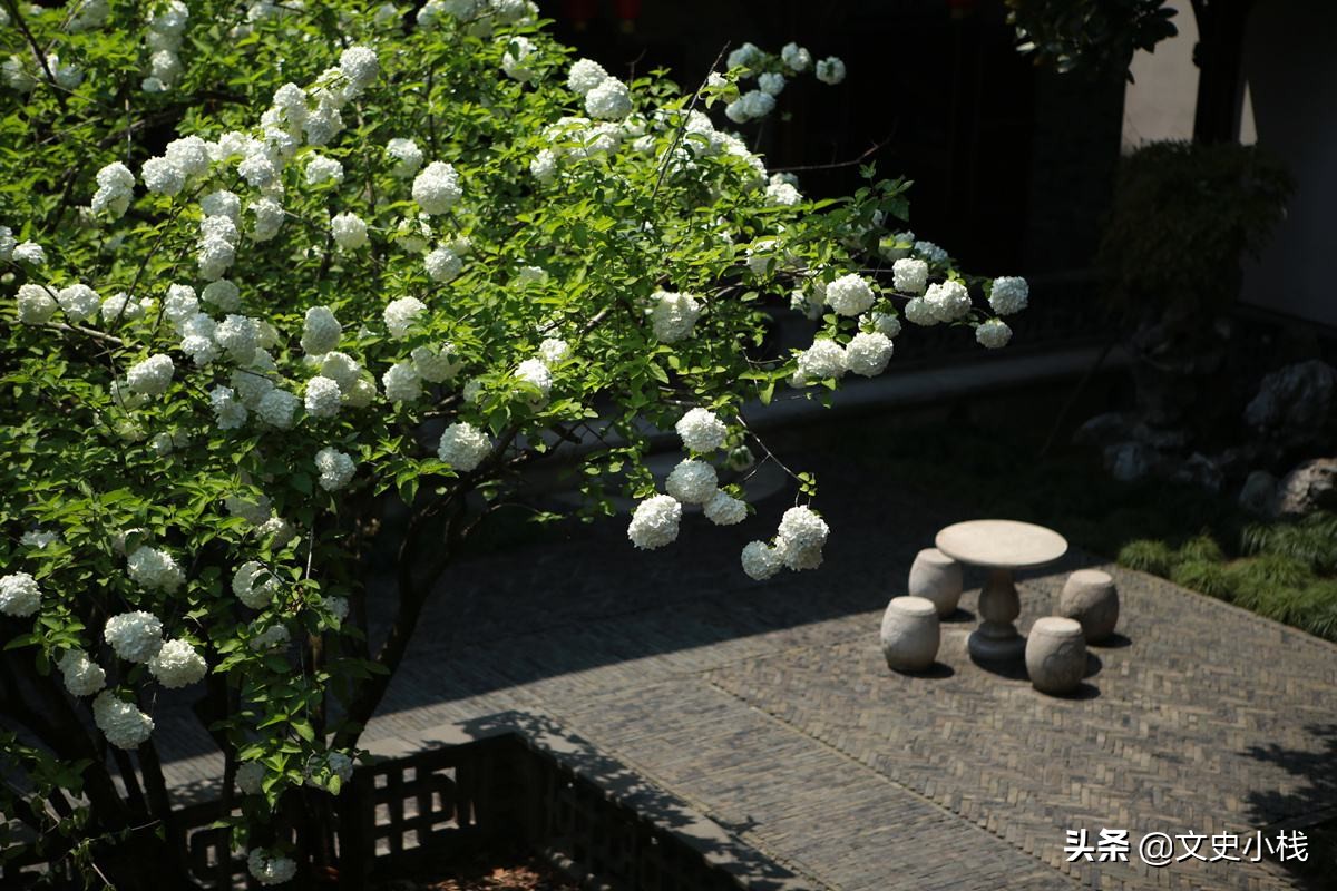 人间芳菲未尽，花海醉游人