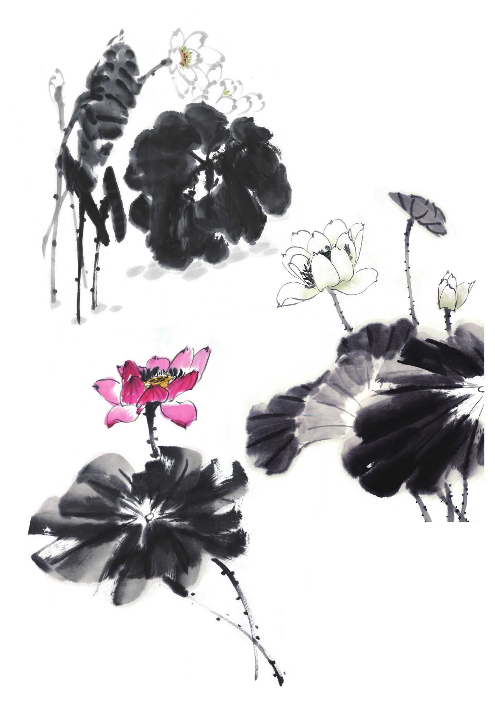 国画教程:荷花组合怎么画?教你4种荷花组合画法,收藏起来学习