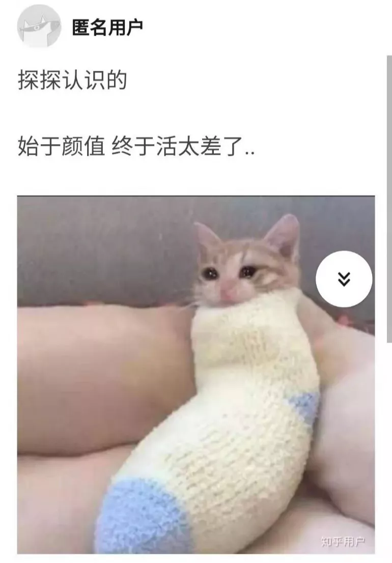 网恋奔现失败是种什么体验？你可能被胖揍！哈哈哈哈哈