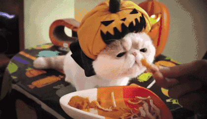 万圣节的英文不是 Halloween？之前过的是假万圣节吗？