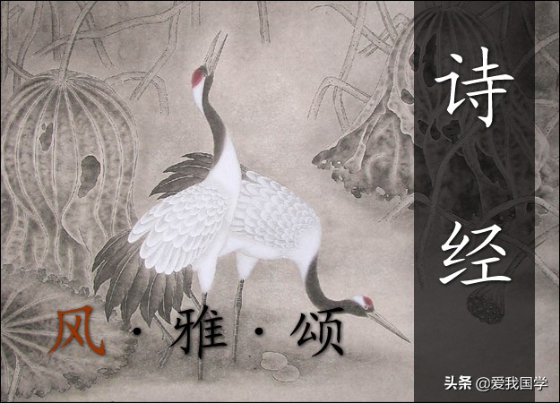 中国最早诗歌总集《诗经》原文、译文、注释、赏析！（兔罝篇）
