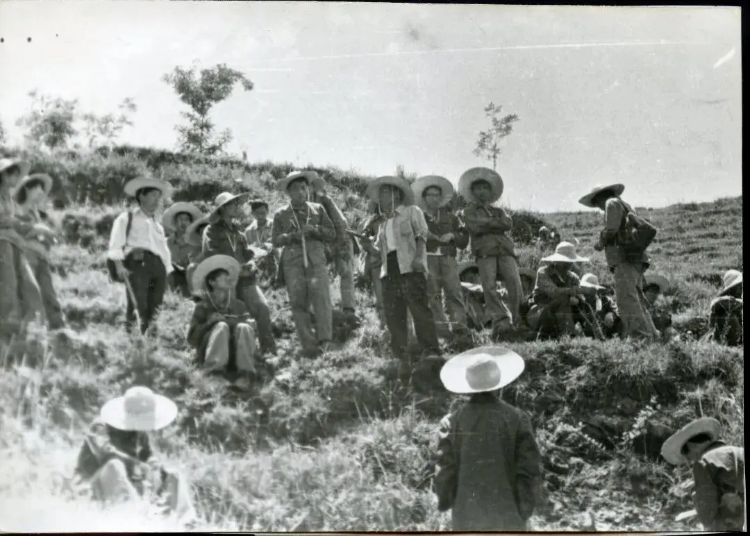长安大学，来了