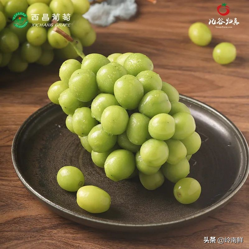 日本晴王葡萄太贵？价格减半的中国晴王它不香吗