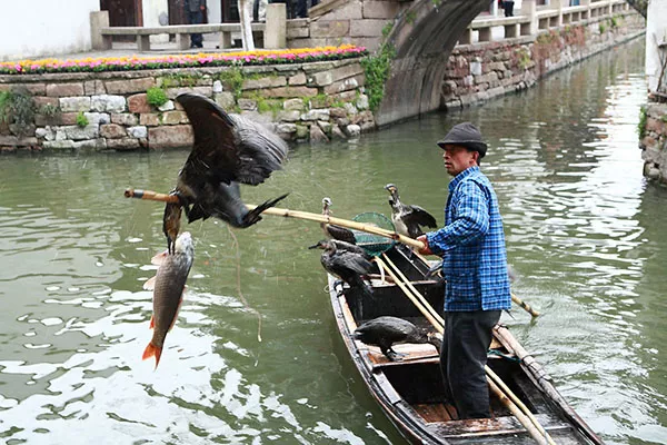 中国最具特色的20个小镇，记住它收藏它