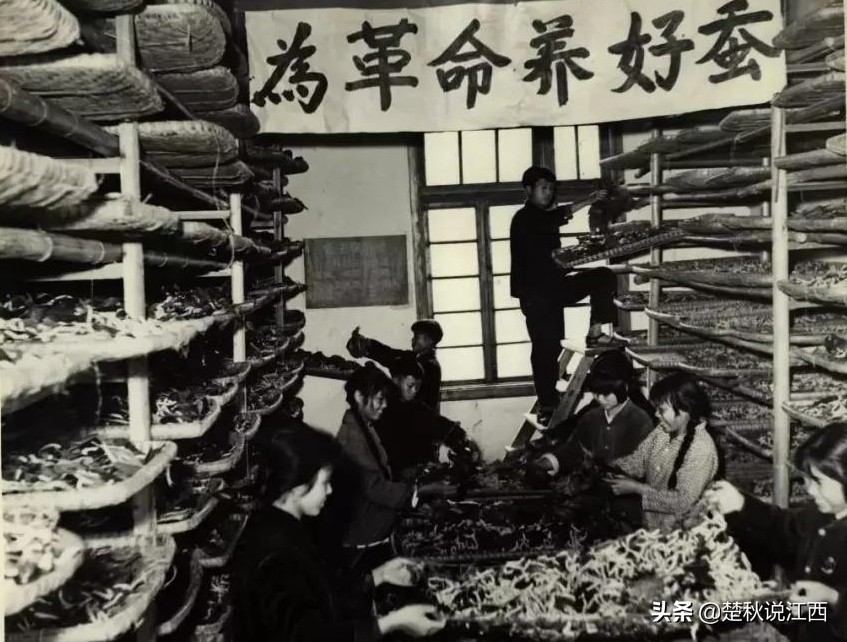 江西青春往事：赣鄱大地上的共产主义大学