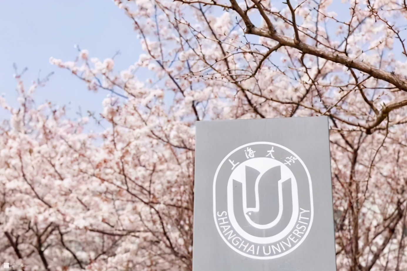 上海这群“女神学霸”火了！4年前考入同所大学，如今全部保研“双一流”！