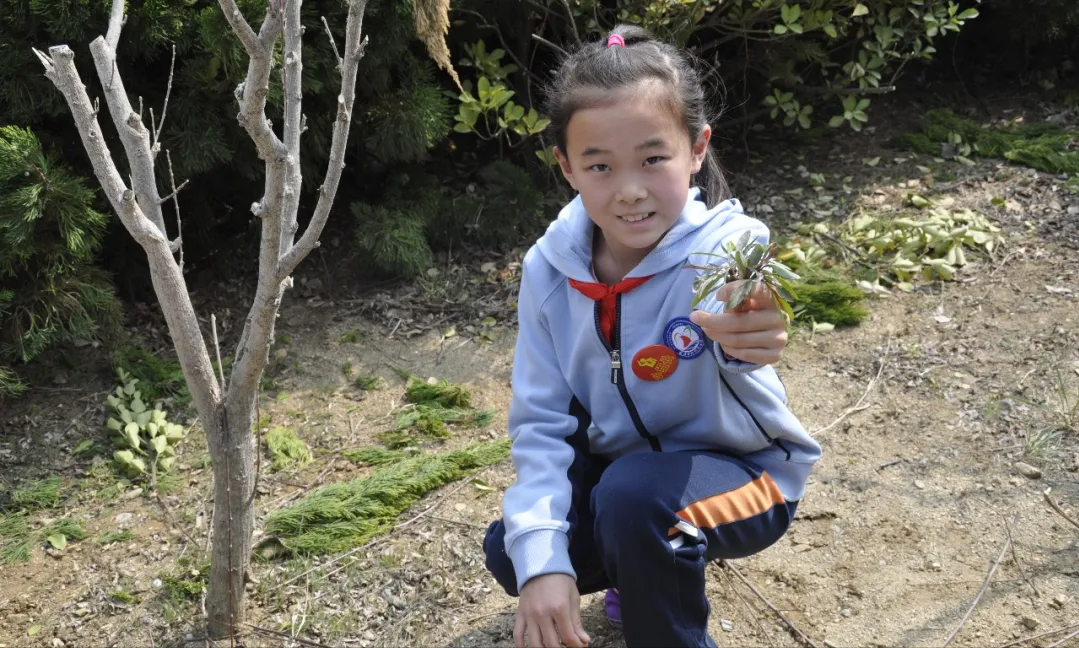 威海市环翠区北竹岛小学：构建“333”体系 高质量推动中医药文化进校园