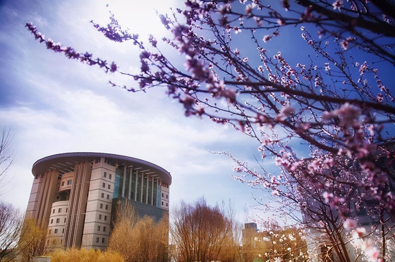 内蒙古黑马院校，成立不足七年，就业率全区第一，实力不一般