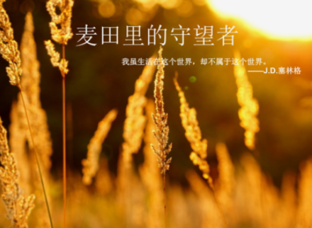 叛逆少年所反抗的是家庭吗？更多的是阴暗的学校与社会