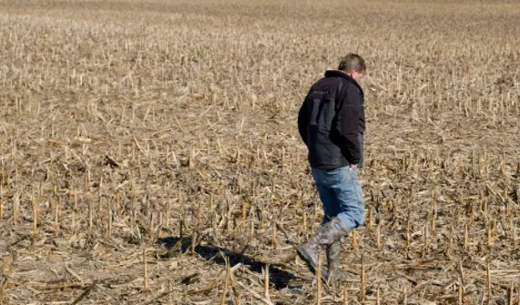 皿煮200年，美国跑步进入封建社会
