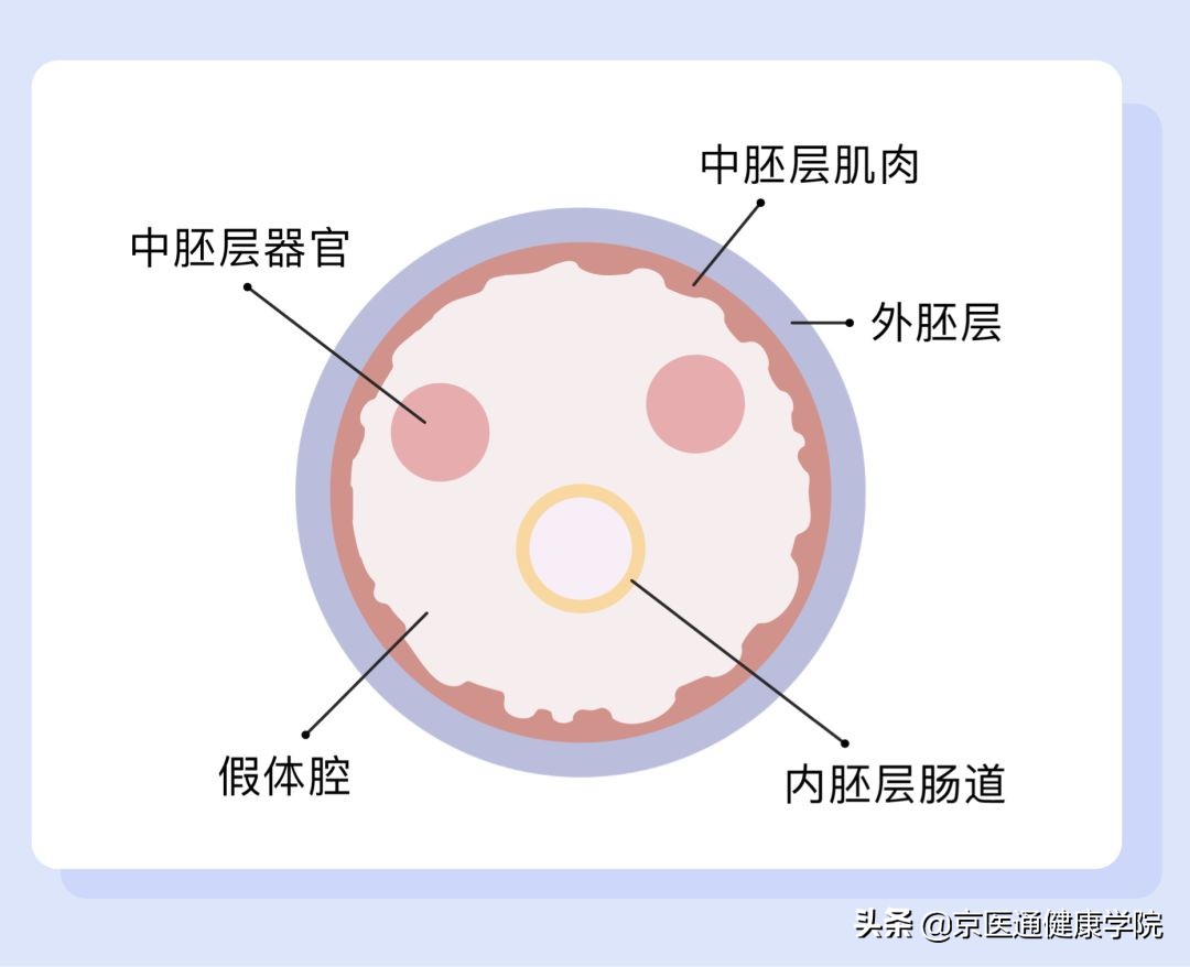 “过敏”“变质风险”的菲洛嘉到底应不应该打，权威科普现状