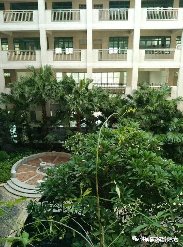 美爆了！佛山8所校园风景大片来袭！哪一间惊艳到你了？