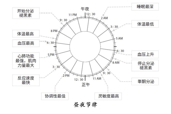 熬夜被列入世卫组织致癌清单！但早起比熬夜危害更大？你睡对了吗