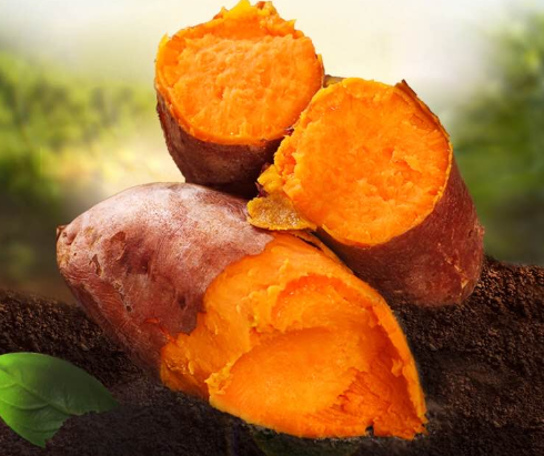 地瓜和红薯，傻傻分不清楚，它们之间有什么区别？又有什么关系呢