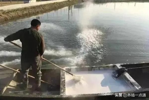 消毒剂在水产养殖中高效、安全使用,病死鱼勿乱扔
