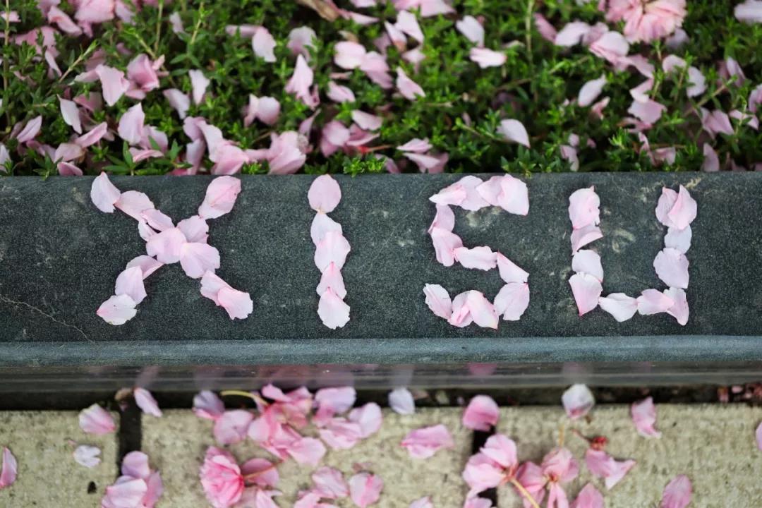 志愿填报进行时！选择西安外国语大学，10个理由就足够