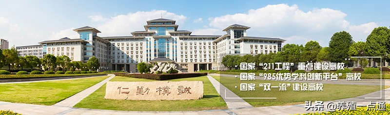 韩兆玉，南京农业大学动科院教授、博导，奶牛养殖专家