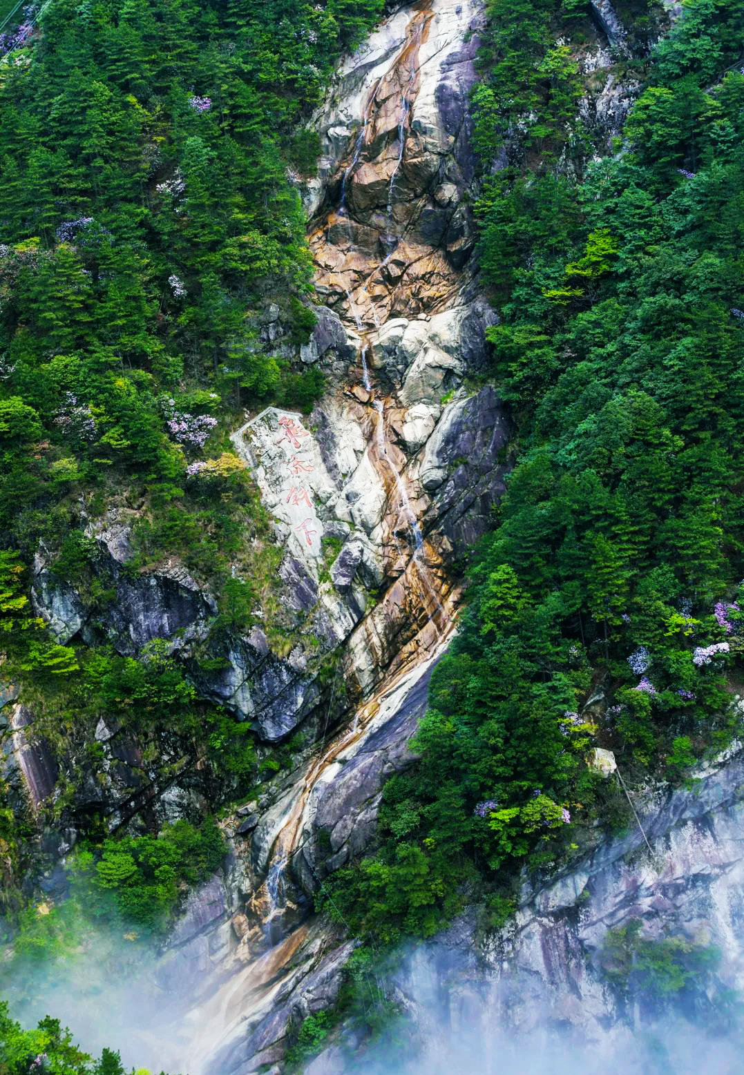宜山宜水宜春味