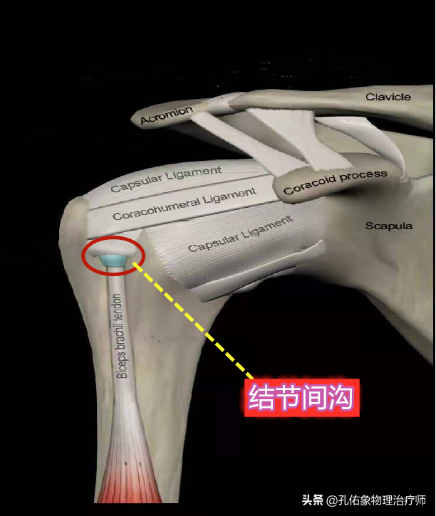 肩膀疼痛是怎么回事？本文告知您9种病因，让您再也不盲目咨询