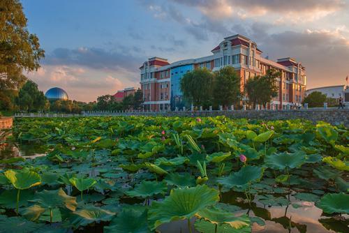 从高校名称上能够区分“公办”与“民办”？