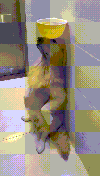 财务数据人一定要懂的分析方法——杜邦分析法