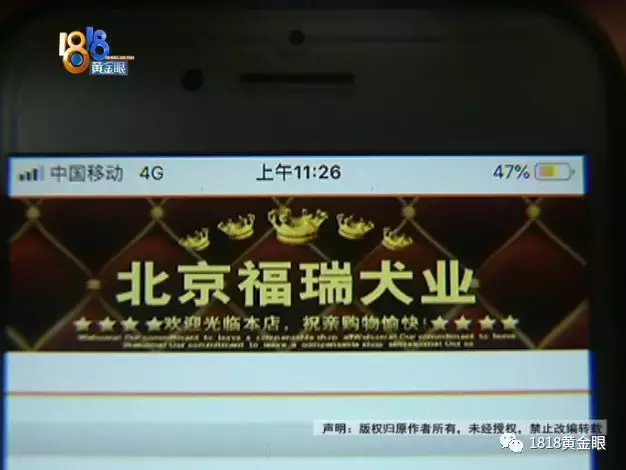 买了公狗收到母狗,卖家说这是“缘分”?