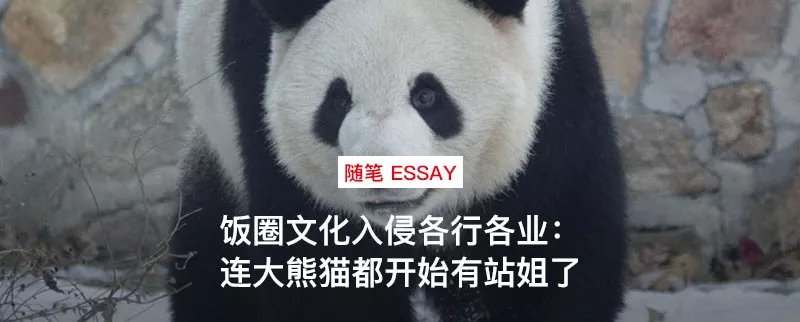 为什么打野球不想打cba(你不知道的野球世界，在大学生和职业之外还有更厉害的篮球手)