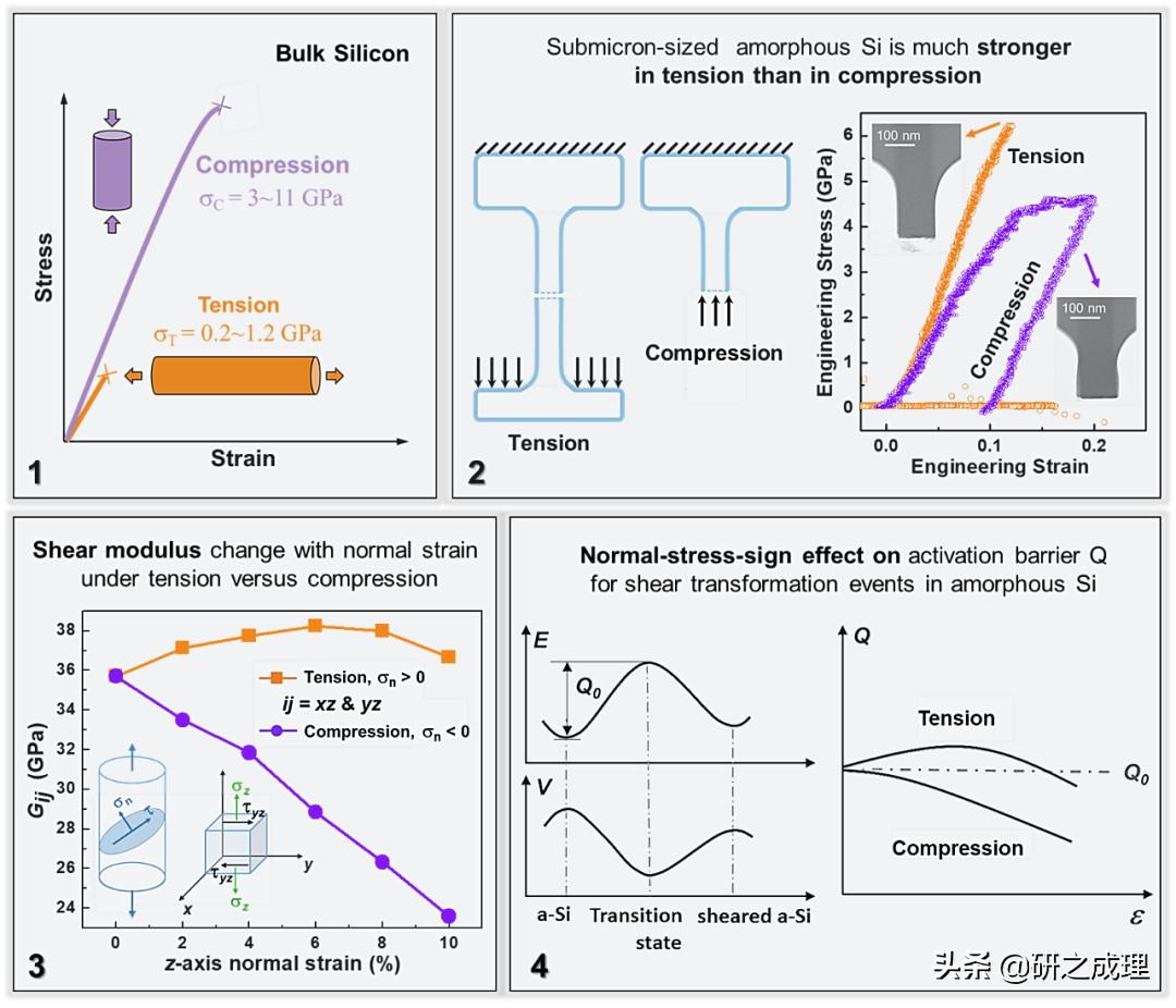 西安交通大学近期Nature大子刊两连击