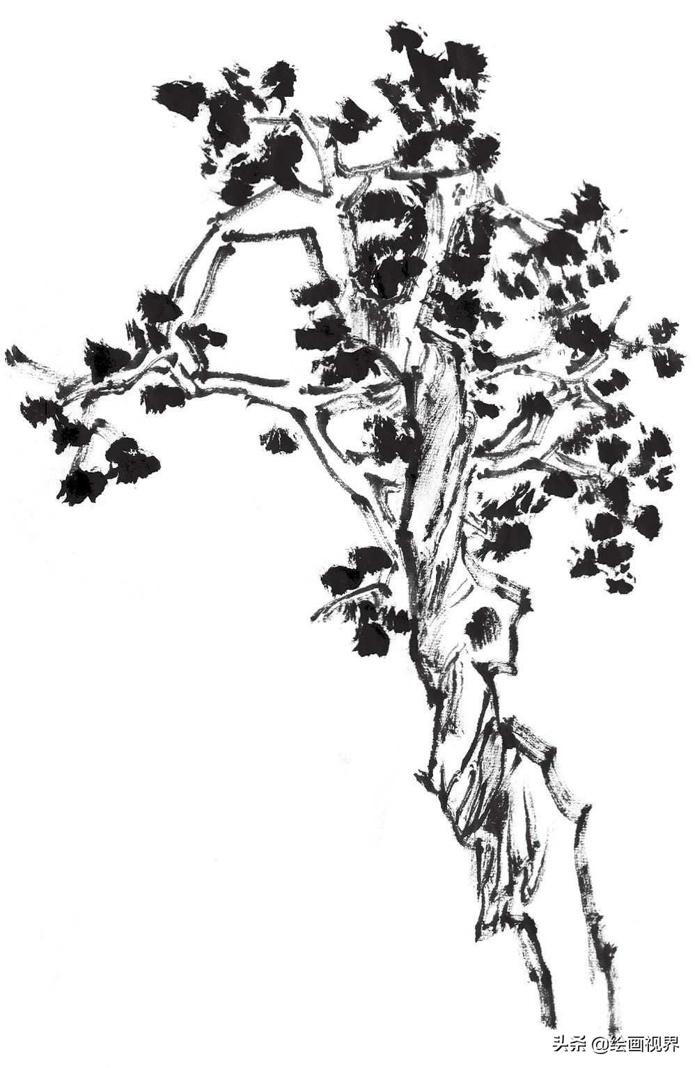 画国画树不会画？教你常见树的画法，简单易学，收藏起来临摹学习