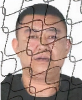 被执行人信息,被执行人信息查询