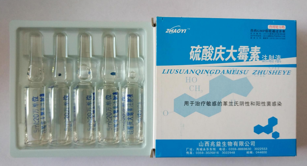 鹦鹉拉肚子吃什么药（做好这三点让你轻松养鹦鹉）