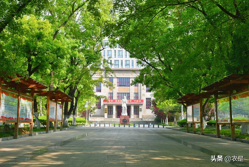 李宝全，山东农业大学动物科技学院副教授，动物疫病防控专家