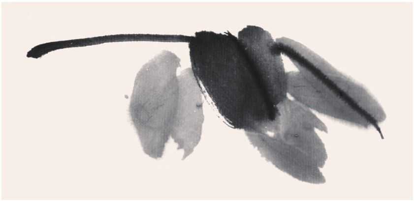 国画知识：常见的五种叶子画法步骤图解，简单易学，小白也能学会