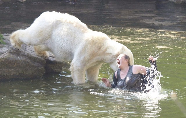 “老虎咬死游客事件”幸存者：至今没有工作，最大心愿是整容