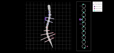 鳗鱼劈断后下半身还能运动，机器人：拿来吧你丨Science子刊封面