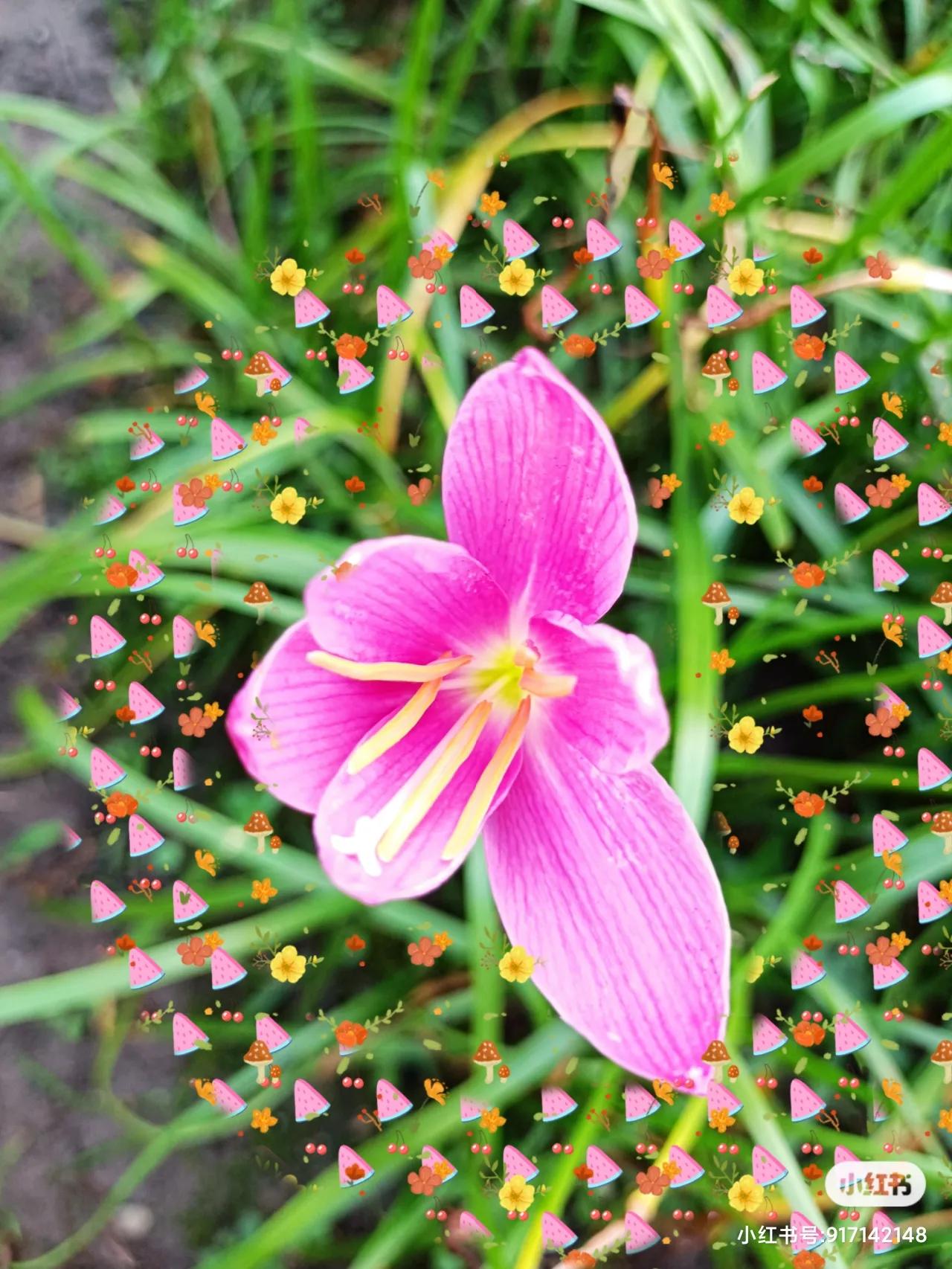 写作技巧：作为自媒体人，你应该知道写出爆款文章的3个方法