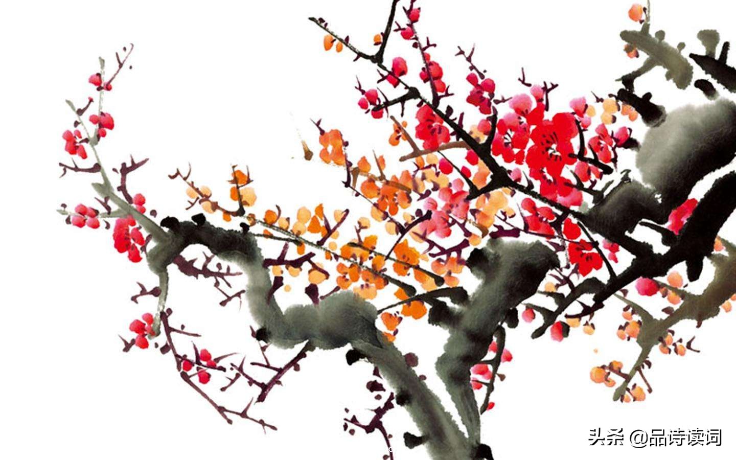 梅花这一首诗我知道一首描写梅花的诗特别喜欢这两句