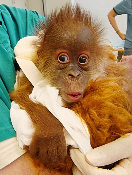 「网络安全」使用个人 VPN在企业内网中会有潜在的风险