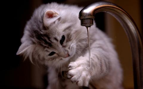 幽默笑话：公司最近为了冲业绩，每天都让我们加班