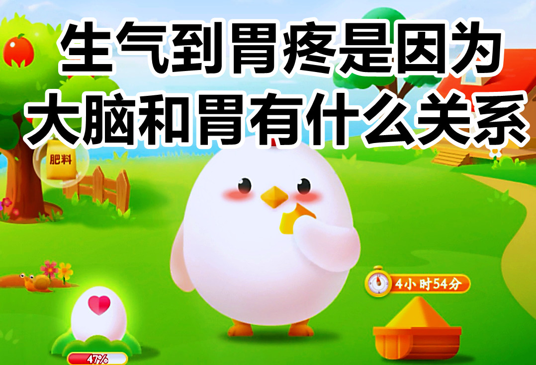 生气导致胃疼的生理机制及常见原因分析