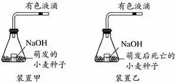 涵盖高中所有生物实验知识点