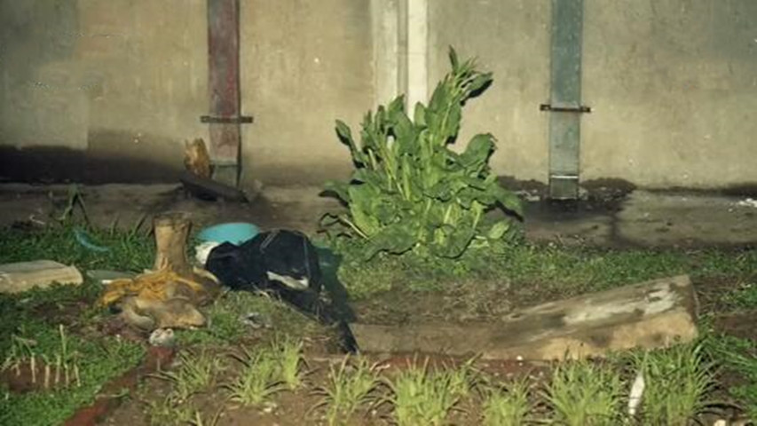 1992年，一名南京女学生在教学楼被奸杀，4天后在下水道发现尸体